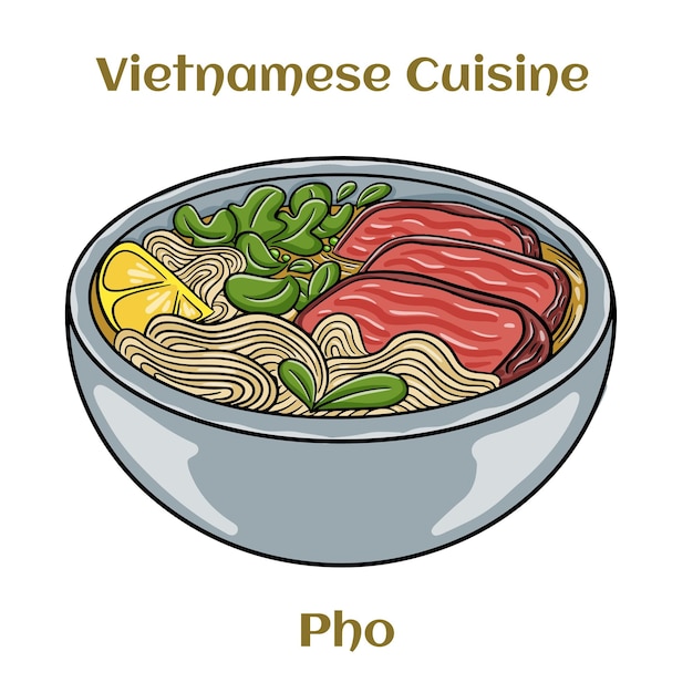 Pho Bo zuppa vietnamita con spaghetti di manzo e riso Illustrazione vettoriale isolata