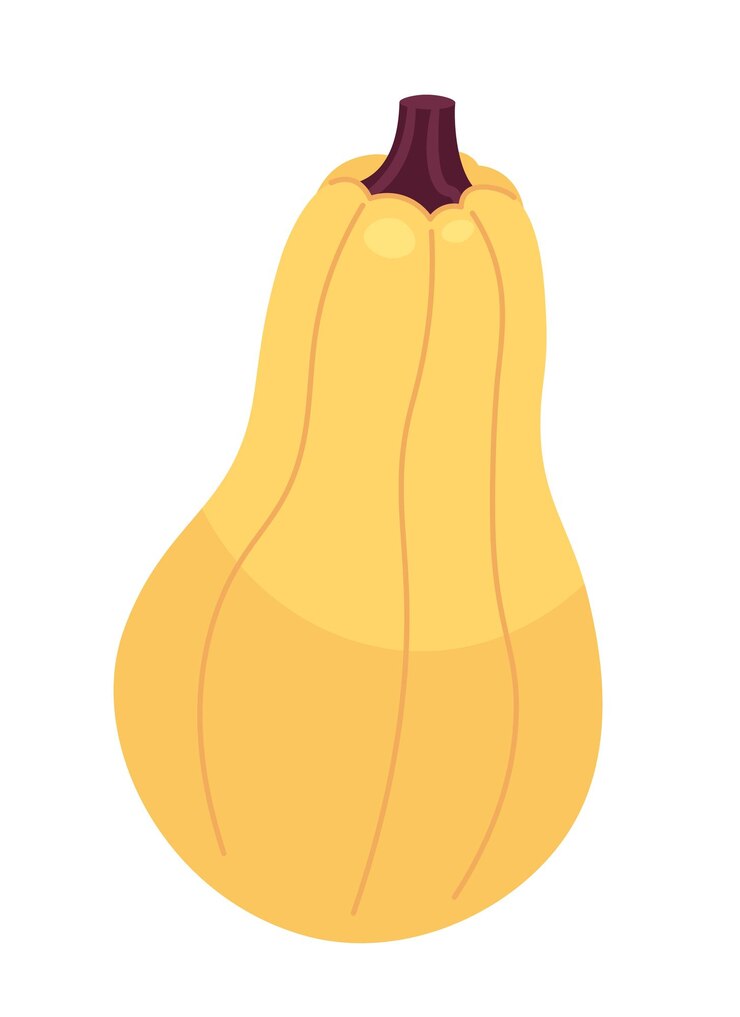 Vettore pianta di autunno di zucca oggetto di cartone animato 2d ringraziamento cibo nutriente sano festa del raccolto autunnale prodotto vettoriale isolato di verdure sfondo bianco illustrazione a colori piatti autunnale di novembre