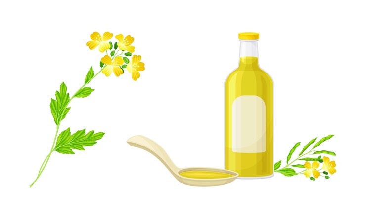 Vettore pianta di senape con semi e olio in bottiglia di vetro set naturale prodotto biologico sano vettore
