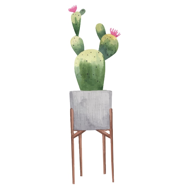 pianta domestica carina, fiori e piante in vaso, illustrazione ad acquerello carino