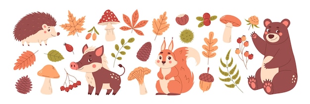 Pianta e animali d'autunno Set di elementi della stagione autunnale Foglie d'albero bacche funghi