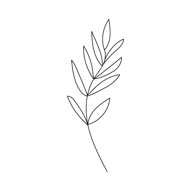 Vettore pianta in stile doodle disegnata a mano isolata su uno sfondo bianco