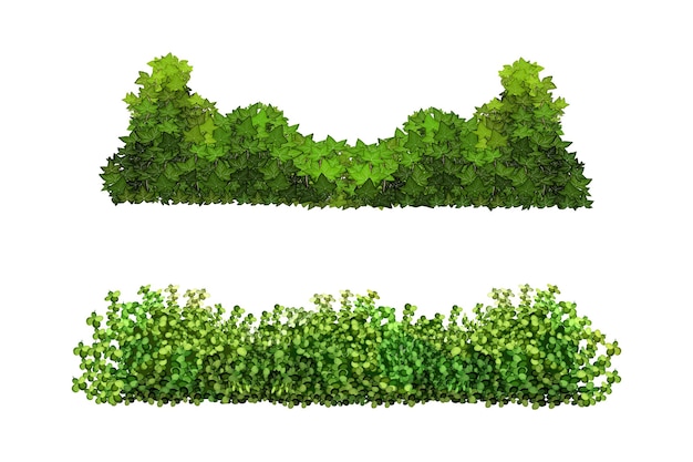Pianta verde ornamentale a forma di siepe