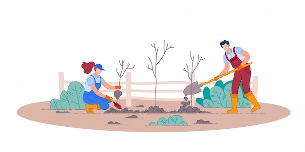 Piantare alberi da frutto. uomo e donna giardiniere persone personaggi dei cartoni animati che tengono pale e piantare piante da frutto in giardino. giardinaggio e agricoltura