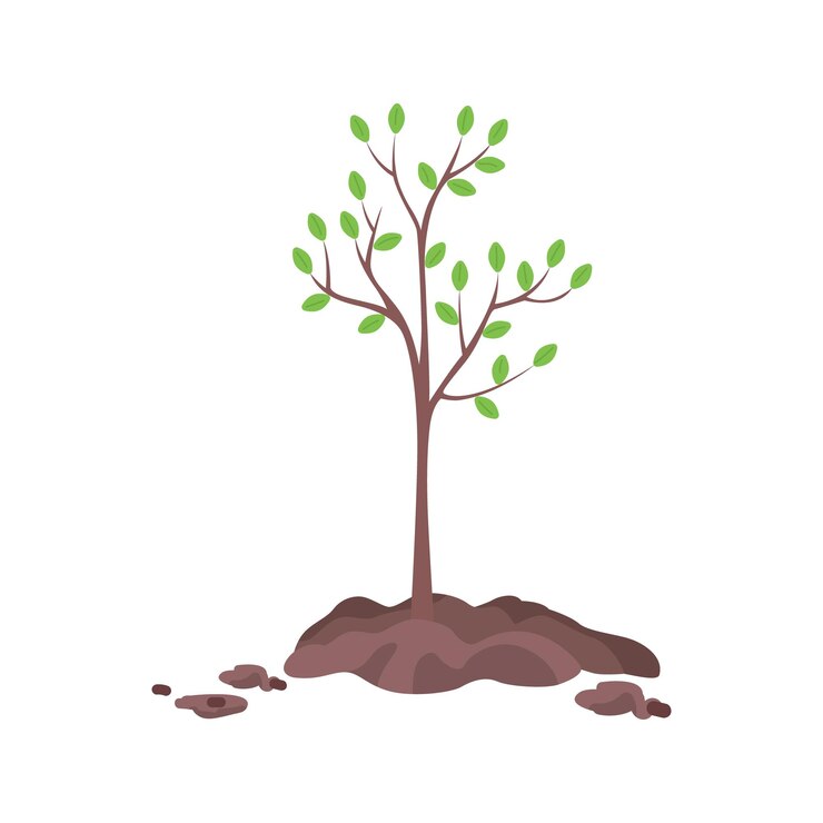 Vettore piantare albero in primavera oggetto vettoriale di colore semi piatto. articolo a grandezza naturale su bianco. piantina dell'albero. la preoccupazione per l'ambiente ha isolato l'illustrazione moderna in stile cartone animato per la progettazione grafica e l'animazione