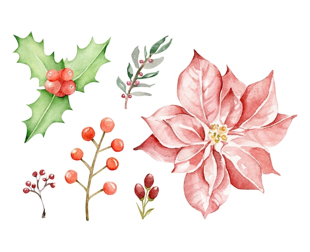 Piante di Natale Fiore di Poinsettia, agrifoglio, rami decorativi