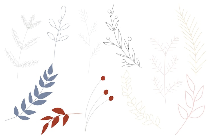 Vettore piante disegnate a mano di vettore - foglie e rami illustrazione botanica