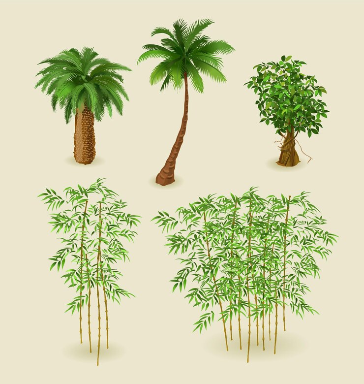Piante tropicali e bambù insieme isolato