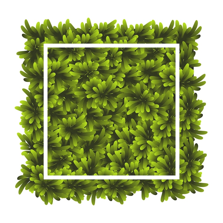 Vettore piazza di erba verde struttura di sfondo delle piante di copertura del terreno design per banner di carte pezzo erbe per la progettazione