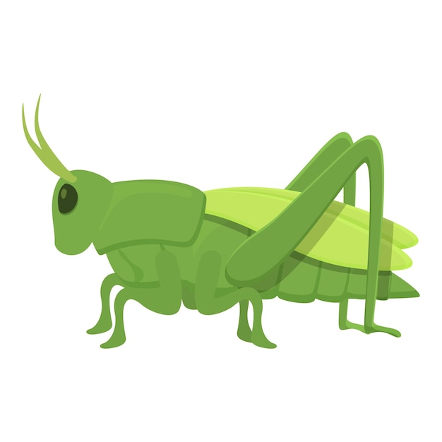Piccola collezione di vettori di cartoni animati con icone di cavallette naturali