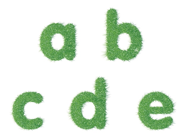 Piccola lettera a b c d e consistenza erba verde