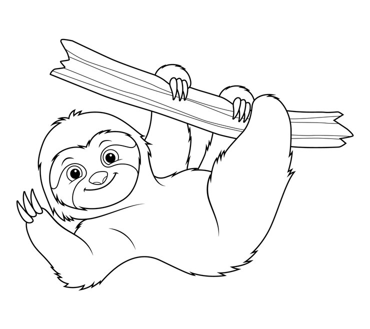Piccolo bradipo cartone animato animale illustrazione BW