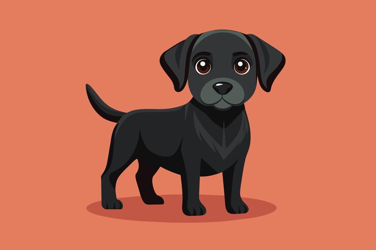 Vettore piccolo cucciolo di labrador nero di colore pulito