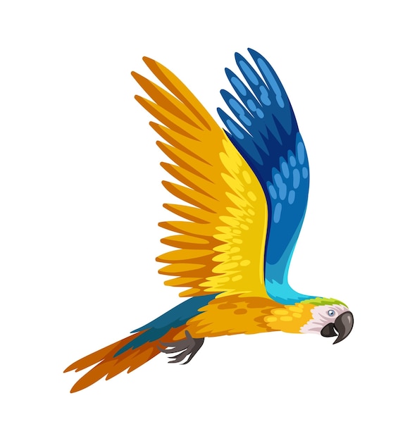 Piccolo pappagallo colorato uccello blu e giallo animale carino con piume mammifero tropicale ed esotico