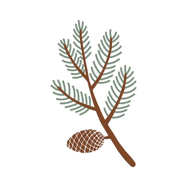 PINE BRANCH CON PINE CONE FIRE L'albero è un albero di pino.