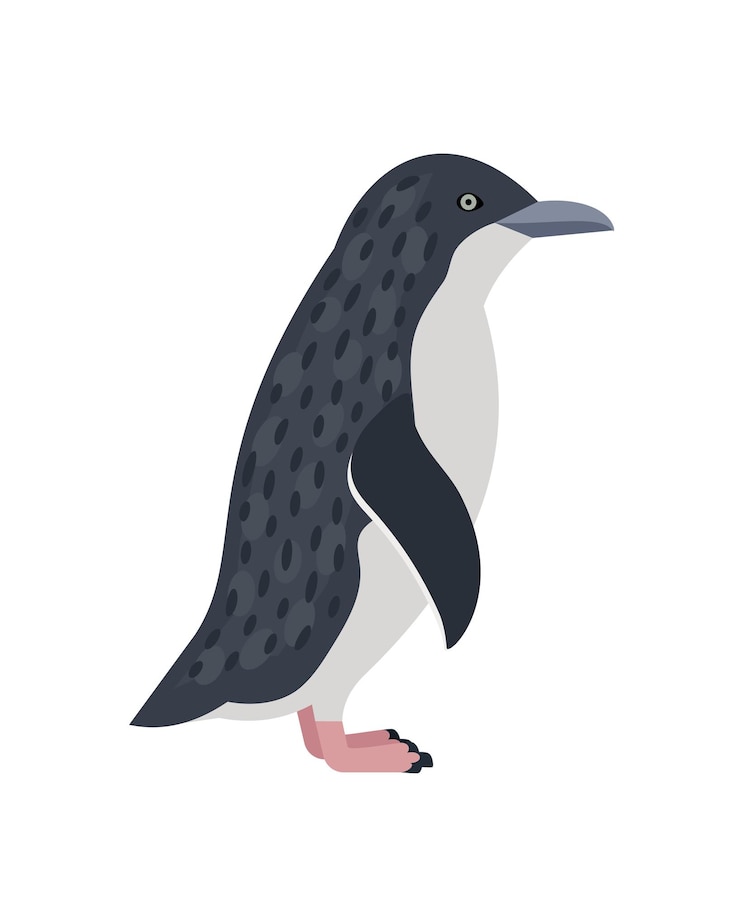 Vettore pinguino antartico. mammifero del fumetto della natura invernale, uccello che vive su un iceberg, simbolo del freddo, illustrazione vettoriale del pinguino imperatore isolato su sfondo bianco