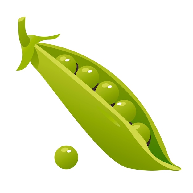Piselli verdi in un baccello isolato su sfondo bianco. Cibo biologico sano, verdure fresche
