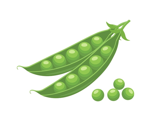 Piselli verdi in un baccello su uno sfondo bianco Legumi cibo Illustrazione in stile piatto