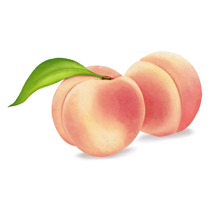 Pittura di frutta di pesca su sfondo bianco