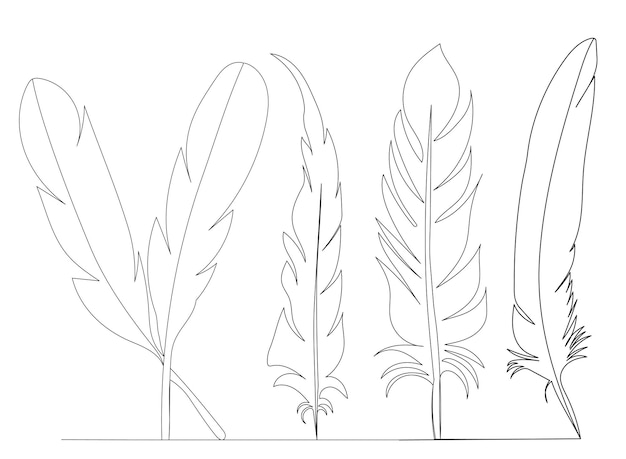 Piume che disegnano in una linea continua