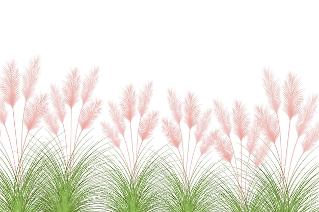 Planta seca para decoraci n, marco, fondo, impresi n de tela, textil retro, papel tapiz.