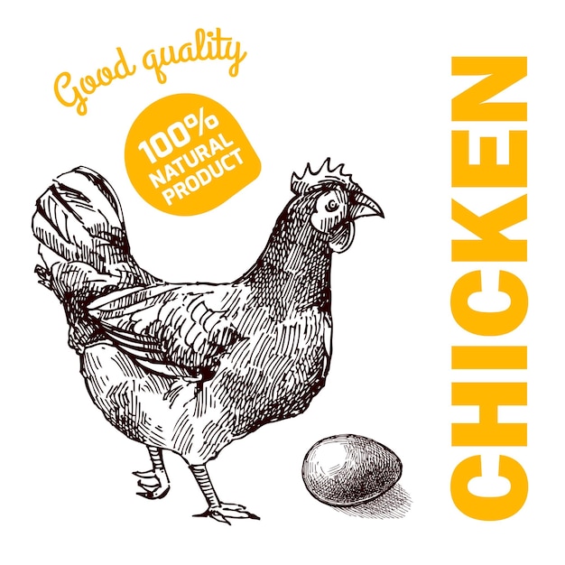 Pollo da fattoria ecologica