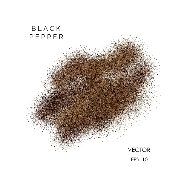 Polvere di pepe nero macinato vettoriale