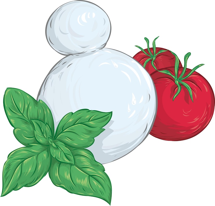 Vettore pomodoro e basilico con mozzarella isolato su bianco