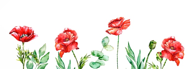 poppies banner watercolot spitting fiori rossi floral wedding design mother's day 14 febbraio