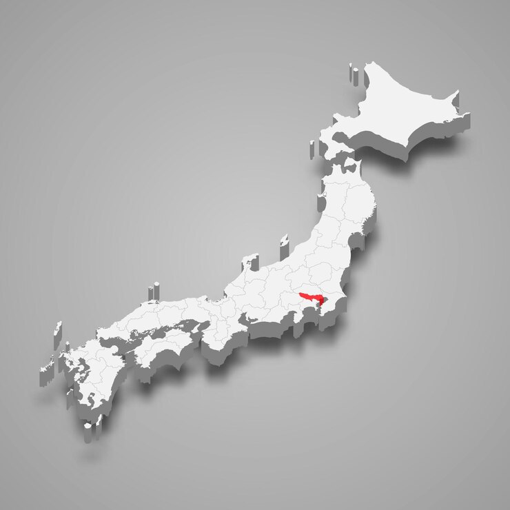 Vettore posizione della regione di tokyo all'interno della mappa 3d del giappone
