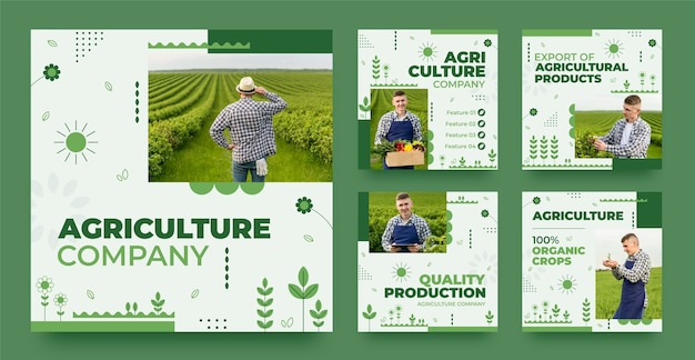 Post su Instagram di un'azienda agricola di progettazione piatta