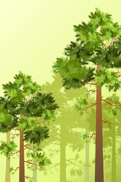 Poster di illustrazione vettoriale di pino