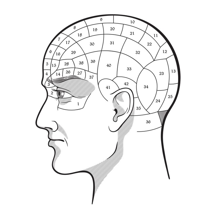 Vettore poster di pseudoscienza retrò di frenologia o disegno di stampa isolato disegnato a mano illustrazione vettoriale