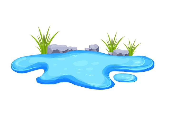 Vettore pozza d'acqua di stagno con erba e pietre in stile cartone animato