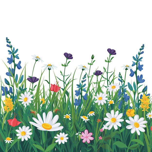Prato verde primaverile con fiori selvatici 89