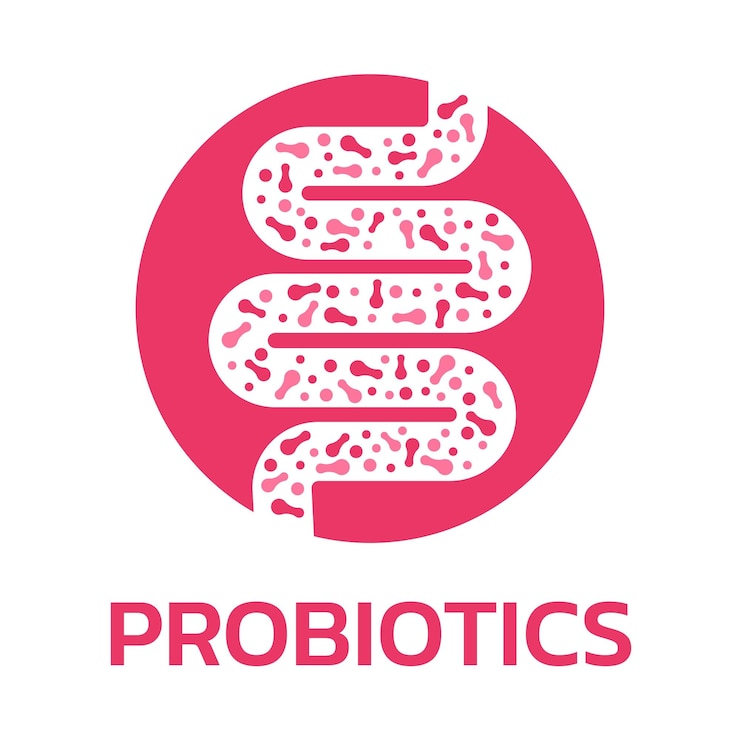 Vettore probiotici batteri e microrganismi buoni per la salute umana probiotici microscopici batteri buoni