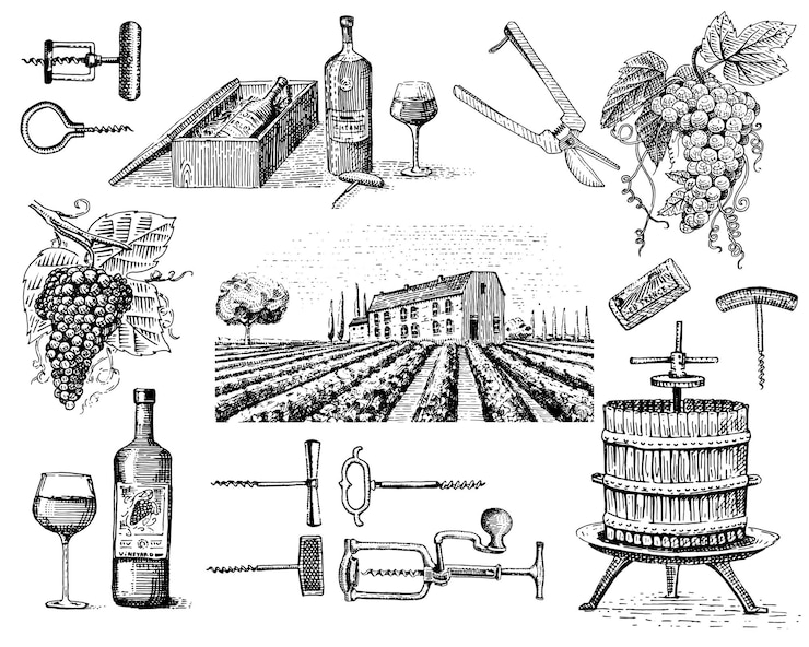Vettore prodotti per la vendemmia torchio uva vigneti cavatappi bicchieri bottiglie in stile vintage inciso disegnato a mano