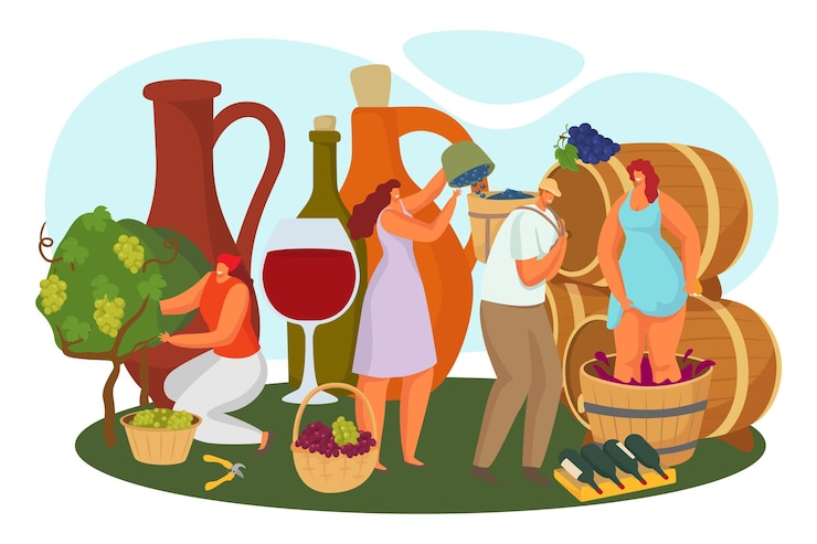 Vettore produzione di alcol in vigna, illustrazione vettoriale. personaggio piatto uomo donna raccolta uva, produzione vinicola, persona femminile fare processo di stampa in botte. vite rossa in vetro enorme, concetto di bottiglia.