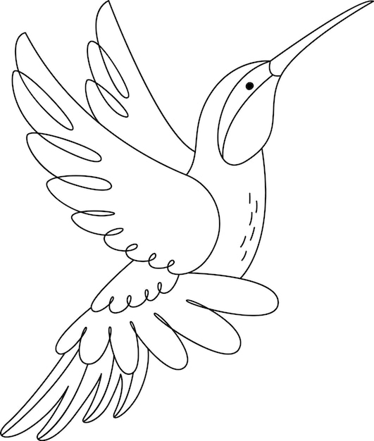Profilo dell'uccello colibrì