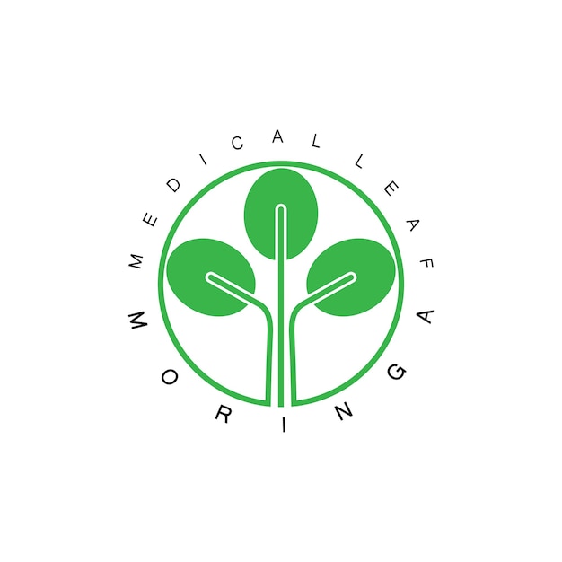 Progettazione del modello dell'illustrazione di vettore dell'icona della natura della foglia di moringa