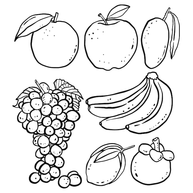 progettazione dell'elemento di contorno dei frutti per i modelli