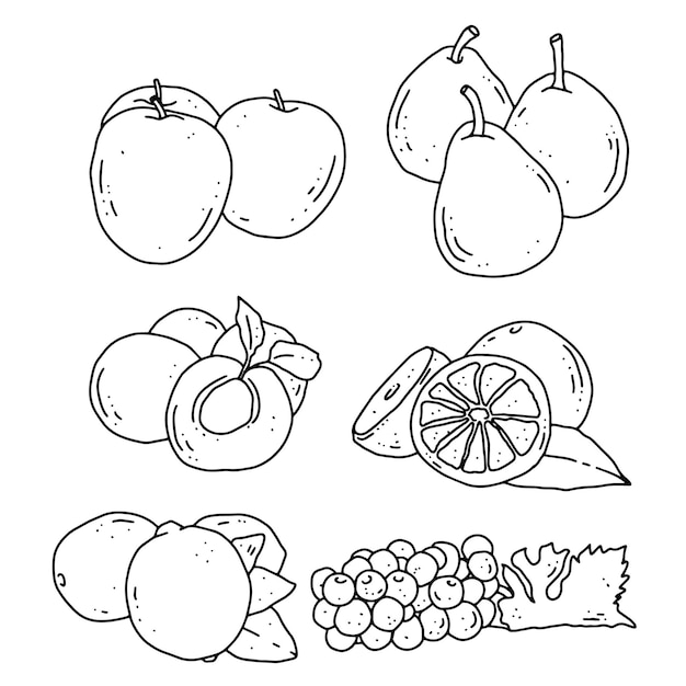 progettazione dell'elemento di linea di frutta per i modelli