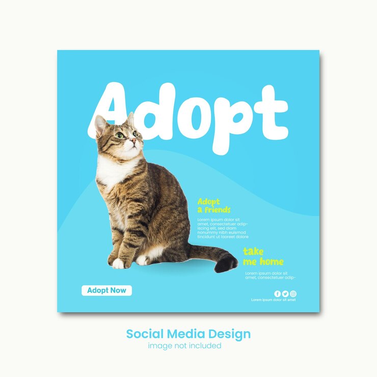 Progettazione di post sui social media per animali domestici
