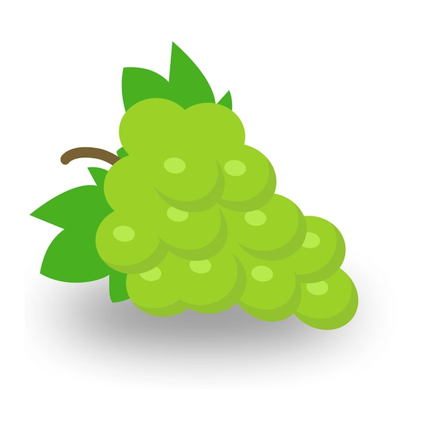 progettazione vettoriale dell'uva verde