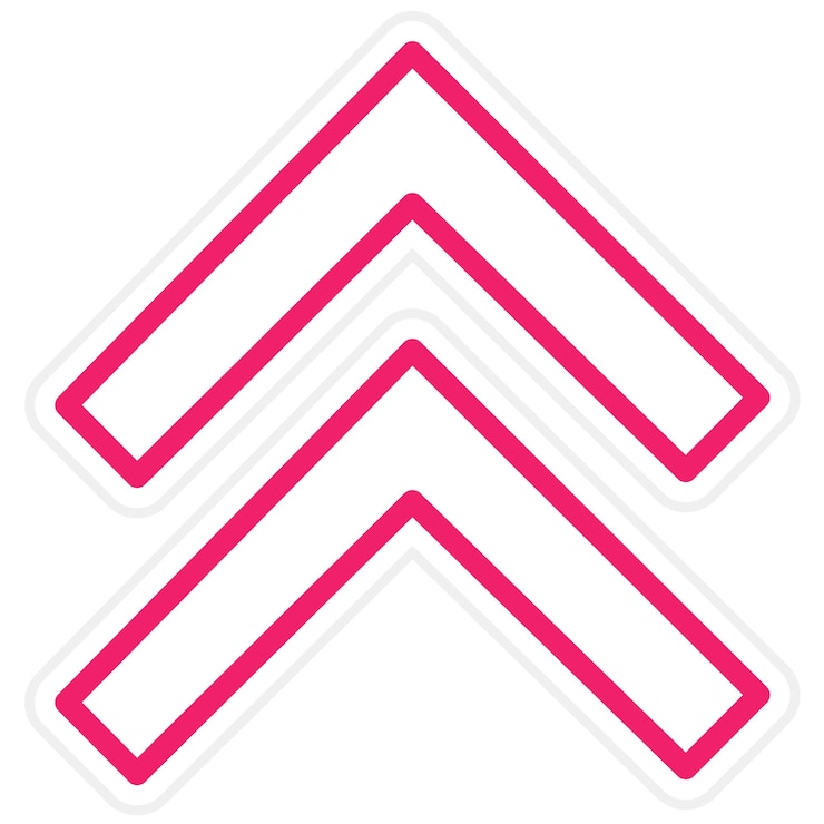 Vettore progettazione vettoriale in stile chevron icon