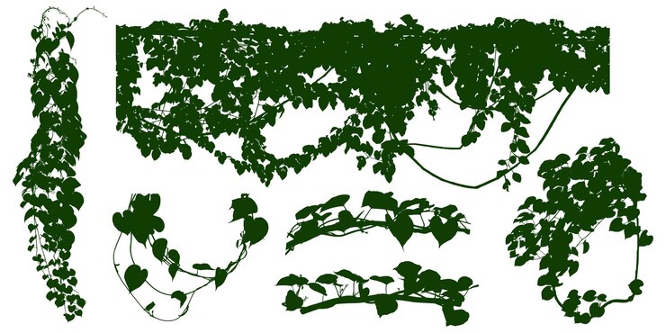 Vettore prplant fiore vigna liana erba pianta cespuglio natura giungla foresta pluviale