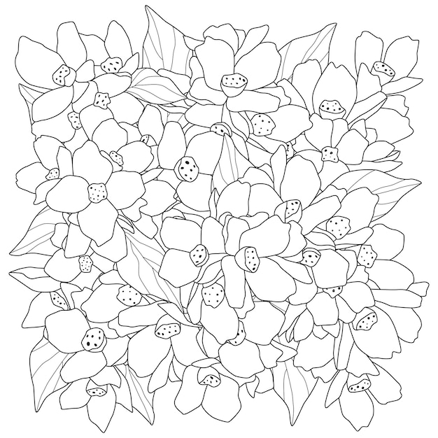 Quadrato da colorare full frame di fiori Disegno del contorno dello schizzo dell'illustrazione vettoriale in bianco e nero