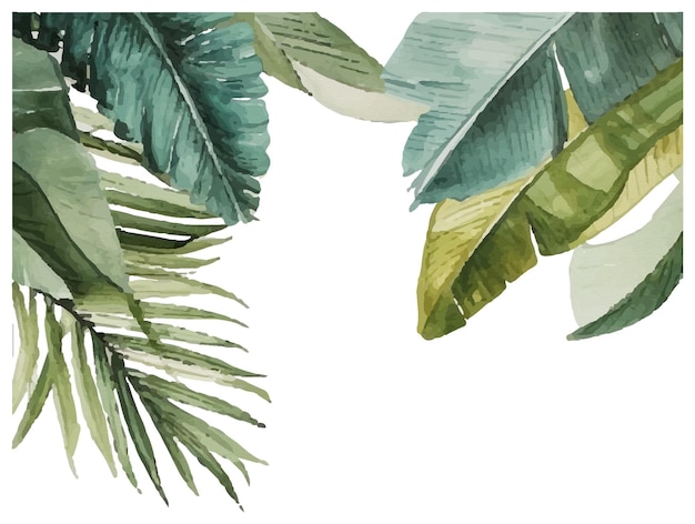 Quadro illustrativo botanico delle piante