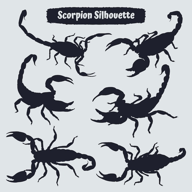 Raccolta del vettore della siluetta dello scorpione animale