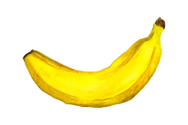 Raccolta della frutta matura della banana dell'acquerello